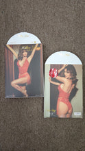 Load image into Gallery viewer, Seductive Selection Lingerie